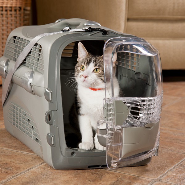 Cat carry case-باکس گربه